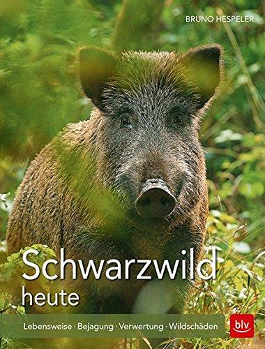 Schwarzwild heute: Lebensweise · Bejagung · Verwertung · Wildschäden