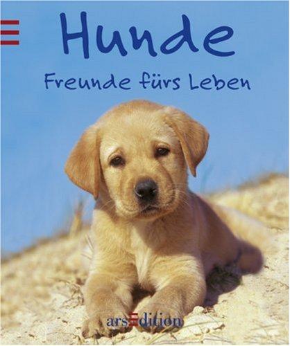 Hunde: Freunde fürs Leben