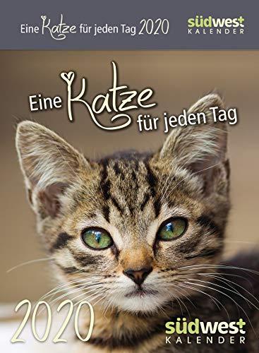 Eine Katze für jeden Tag 2020 Tagesabreißkalender