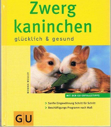 Zwergkaninchen glücklich & gesund