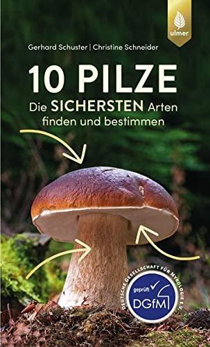 10 Pilze: Die sichersten Arten finden und bestimmen