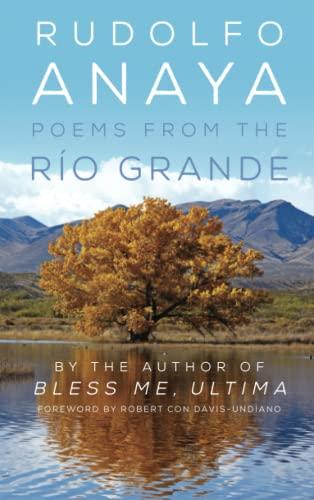 Poems from the Rio Grande: Volume 14 (Chicana & Chicano Visions of the Americas, Band 14)