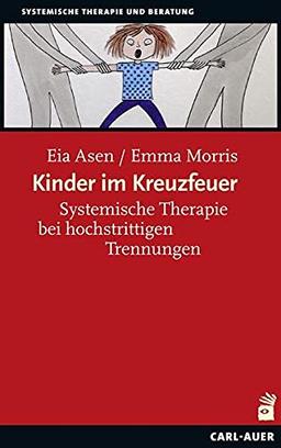 Kinder im Kreuzfeuer: Systemische Arbeit bei massiven Elternkonflikten (Systemische Therapie)