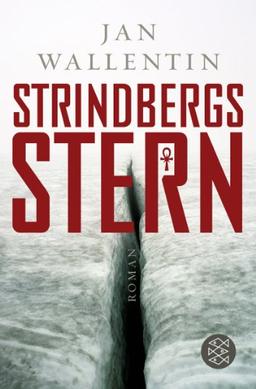 Strindbergs Stern: Roman