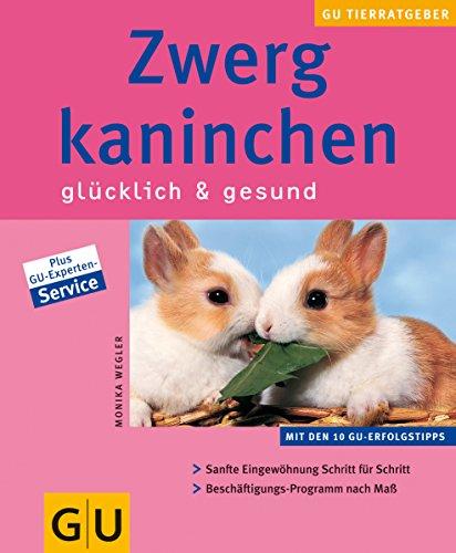 Zwergkaninchen glücklich & gesund