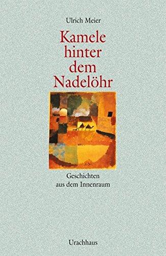 Kamele hinter dem Nadelöhr: Geschichten aus dem Innenraum