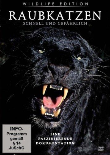 Raubkatzen - Schnell und gefährlich