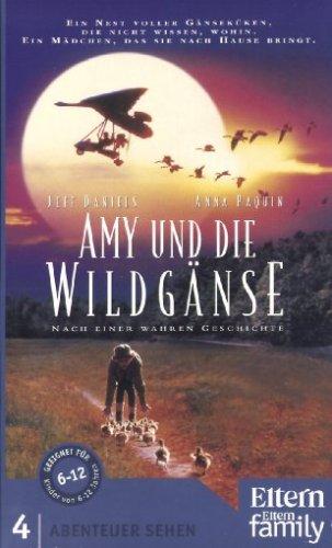 Abenteuer Sehen - Amy und die Wildgänse