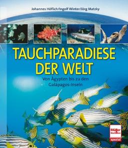 Tauchparadiese der Welt: Von Ägypten bis zu den Galápagos-Inseln