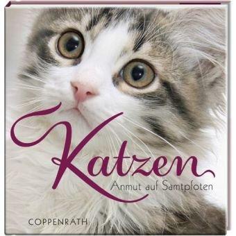 Katzen - Anmut auf Samtpfoten. BelLibri