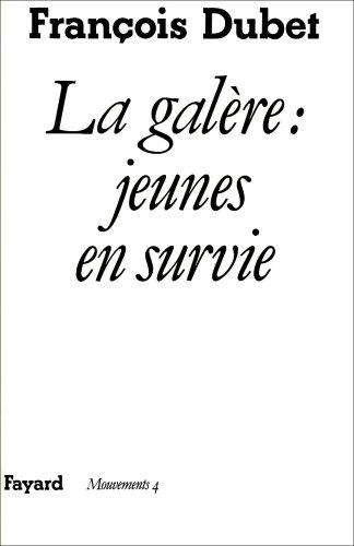 La galère, jeunes en survie