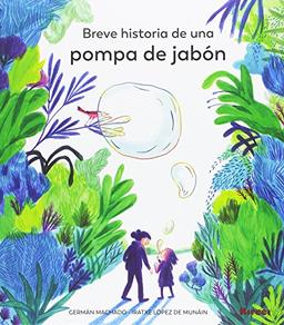 Breve historia de una pompa de jabón