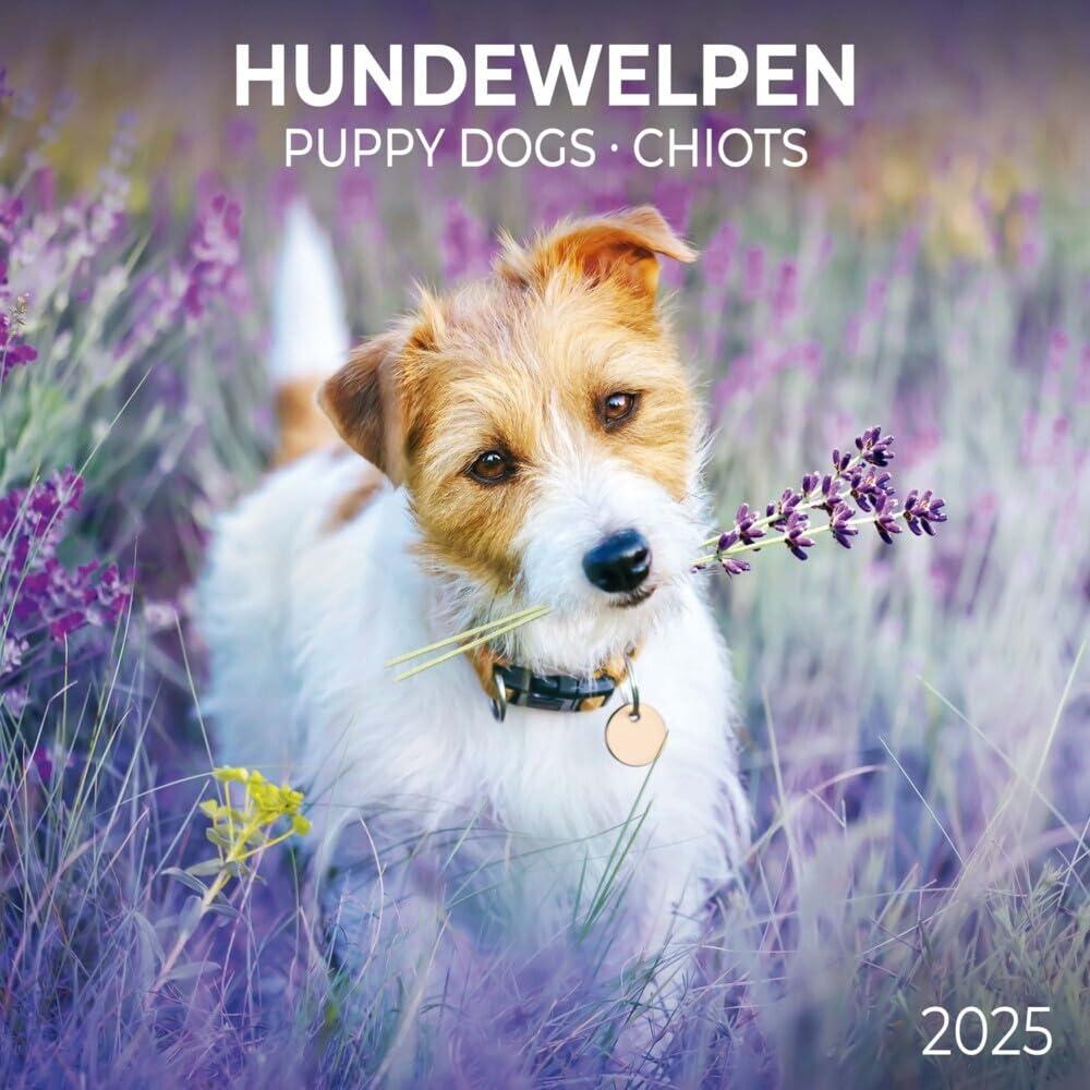 Puppy Dogs/Hundewelpen 2025: Kalender 2025 (Artwork Edition)