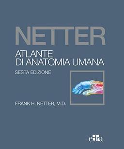 Netter. Atlante di anatomia umana