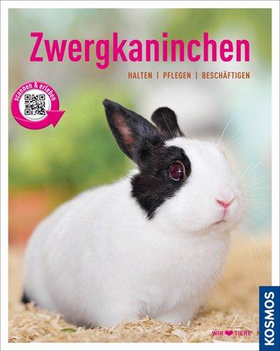 Zwergkaninchen: halten, pflegen, beschäftigen