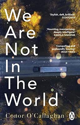 We Are Not in the World: ‘compelling and profoundly moving’ Irish Times