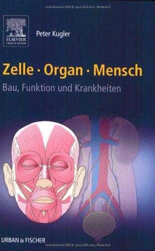 Zelle Organ Mensch: Bau, Funktion und Krankheiten