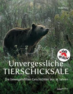 Unvergessliche Tierschicksale: Die bewegendsten Geschichten aus 25 Jahren