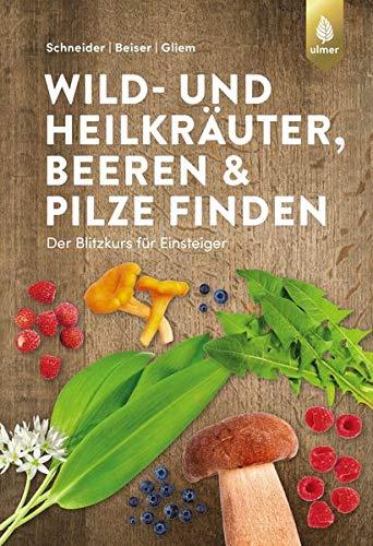 Wild- und Heilkräuter, Beeren und Pilze finden: Der Blitzkurs für Einsteiger