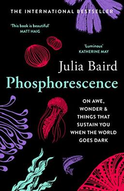 Phosphorescence: On awe, wonder & things that sustain you when the world goes dark