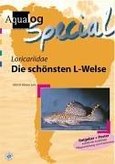 Aqualog, Die schönsten L-Welse