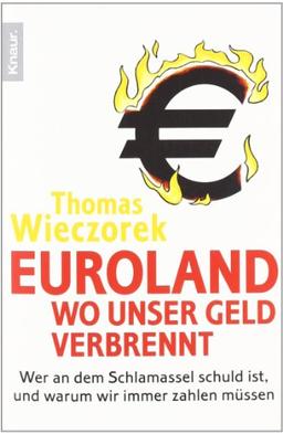 Euroland: Wo unser Geld verbrennt: Wer an dem Schlamassel schuld ist, und warum wir immer zahlen müssen