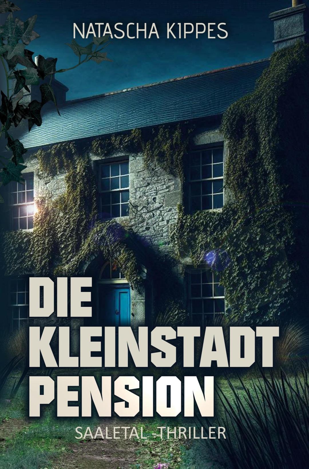 Die Kleinstadtpension: Saaletal-Thriller