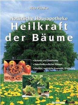 Heilkraft der Bäume: Botanik und Geschichte - Naturheilkundliches Wissen - Medizin, natürliche Kosmetik, Ernährung