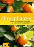 Zitruspflanzen: Schritt für Schritt zum eigenen Zitrusparadies. GU Pflanzenpraxis (GU PraxisRatgeber Garten)