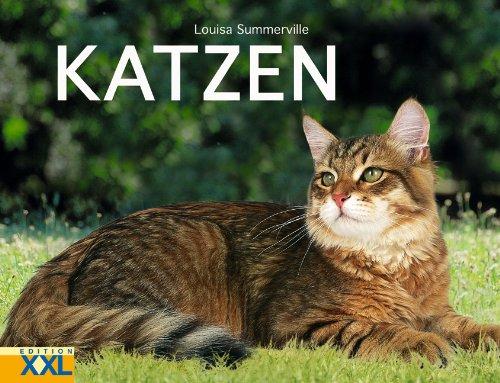 Katzen