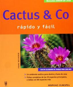 Cactus & co (Jardín en casa)