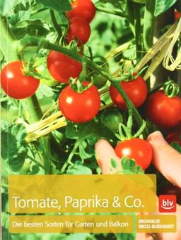 Tomaten, Paprika & Co: Die besten Sorten für Garten und Balkon