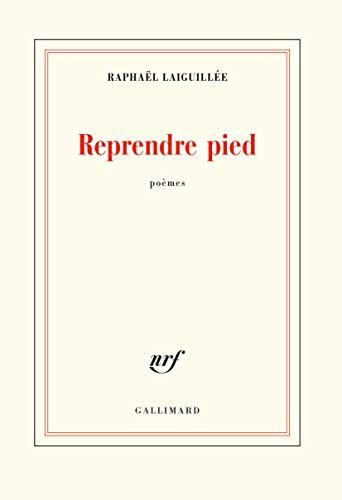 Reprendre pied : poèmes