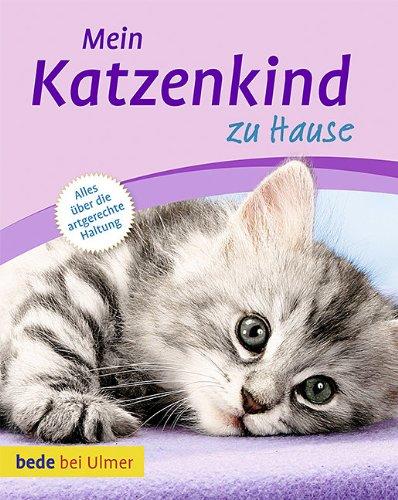 Mein Katzenkind zu Hause