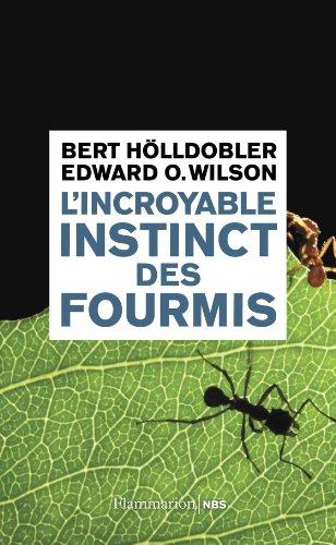 L'incroyable instinct des fourmis : de la culture du champignon à la civilisation