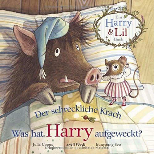 Der schreckliche Krach - Was hat Harry aufgeweckt?