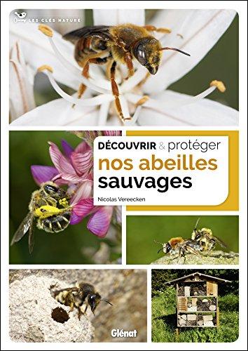 Découvrir & protéger nos abeilles sauvages