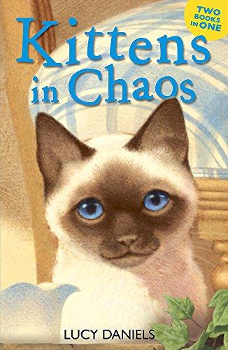 Kittens in Chaos: Siamese in the Sun & Cat in the Candlelight (Animal Ark, Band 292)