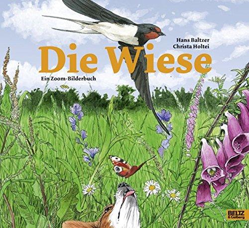 Die Wiese: Ein Zoom-Bilderbuch