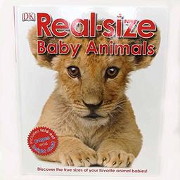 Real-size Baby Animals