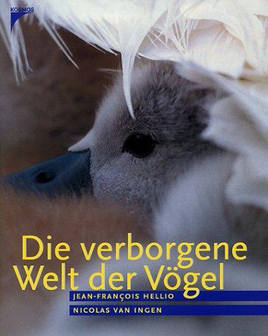 Die verborgene Welt der Vögel