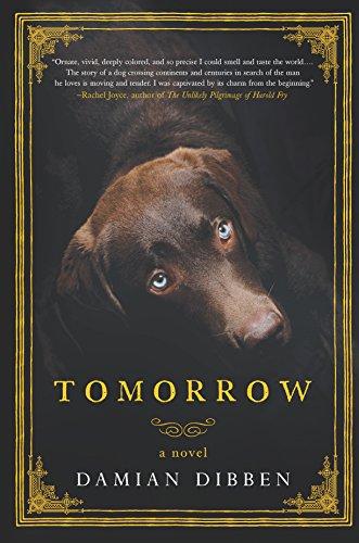 Tomorrow: A Novel