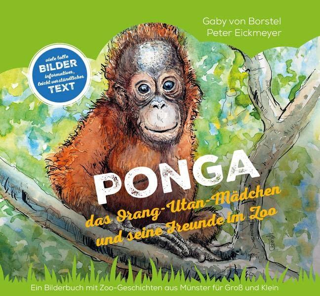 PONGA: das Orang-Utan-Mädchen und seine Freunde im Zoo (NTV Kinderbuch)