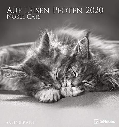 Auf leisen Pfoten 2020