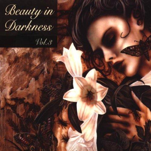 Beauty in Darkness 3