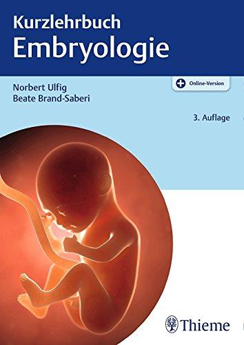 Kurzlehrbuch Embryologie