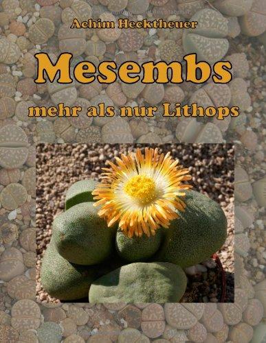 Mesembs - mehr als nur Lithops