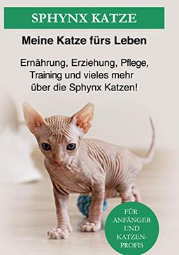 Sphynx Katze: Ernährung, Erziehung, Pflege, Training und vieles mehr über die Sphinx Katzen!