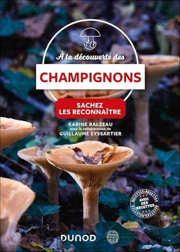 A la découverte des champignons : sachez les reconnaître