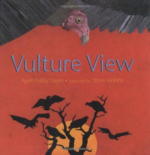 Vulture View